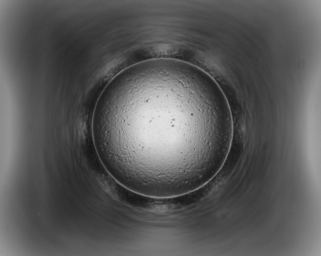 X0000085010746200703121521