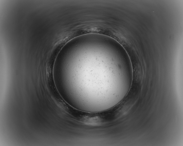 X0000085010747200703121521