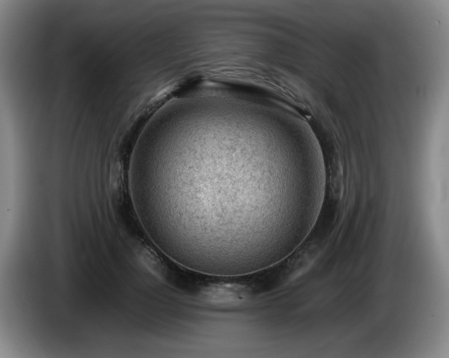 X0000085010748200703121521