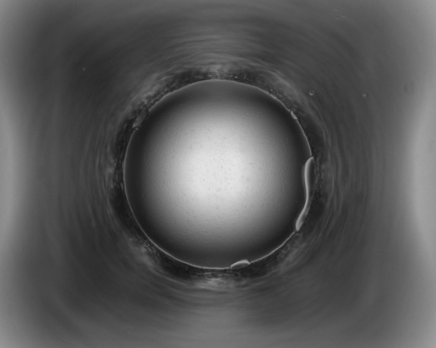 X0000085010750200703121521