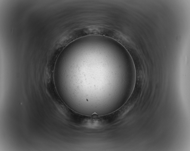 X0000085010751200703121521