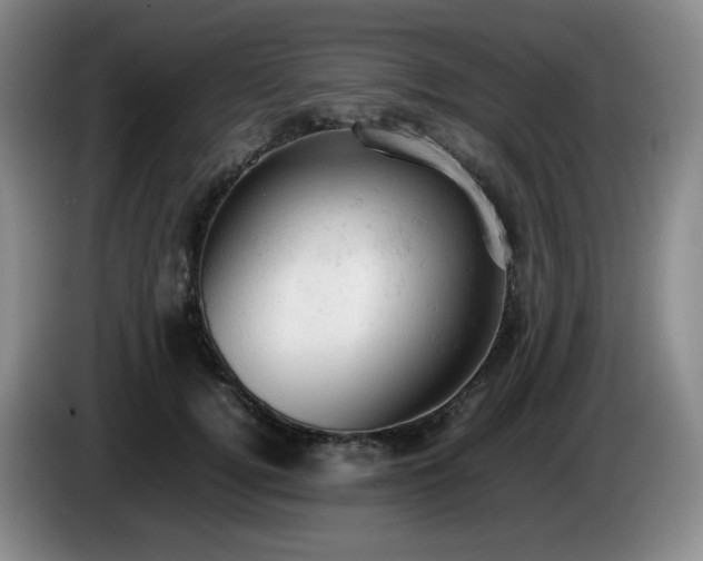 X0000085010752200703121521