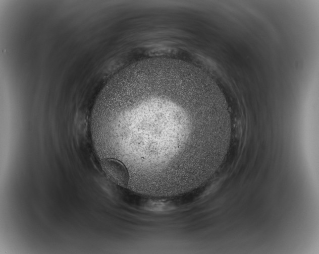X0000085010753200703121521