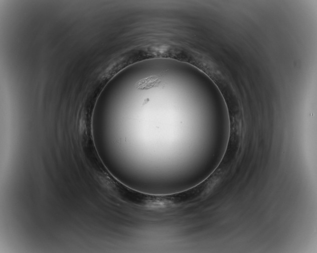 X0000085010754200703121521