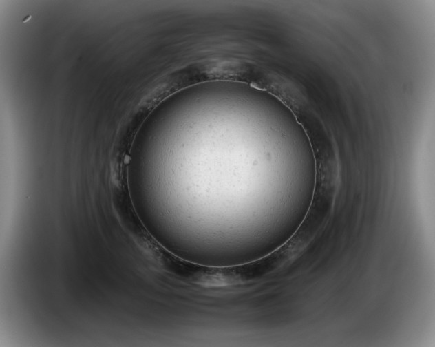 X0000085010755200703121521