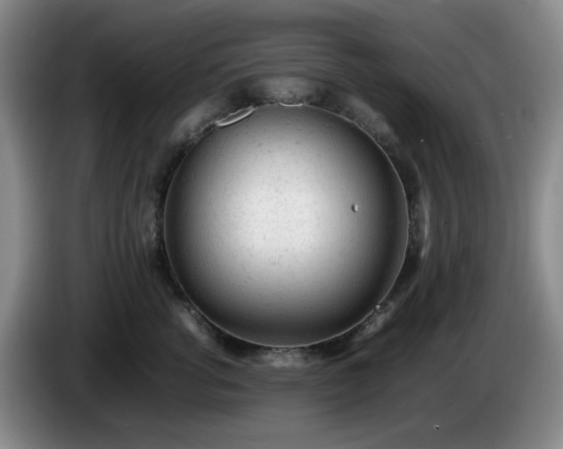 X0000085010762200703121521
