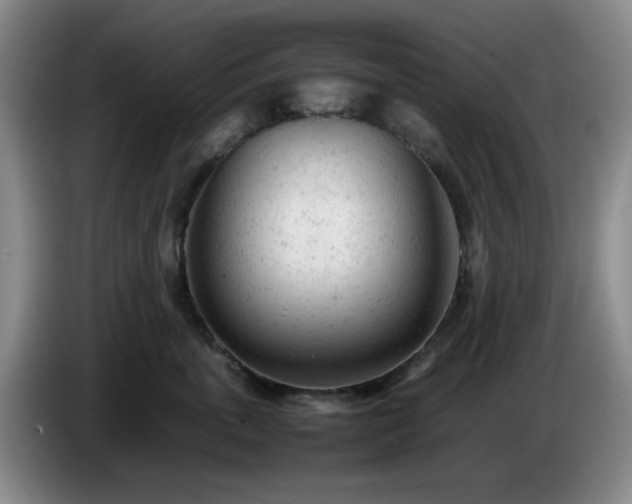 X0000085010763200703121521