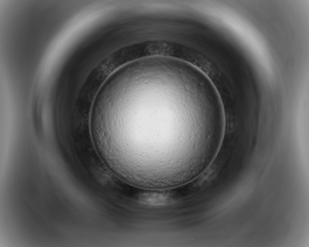 X0000085010765200703121521
