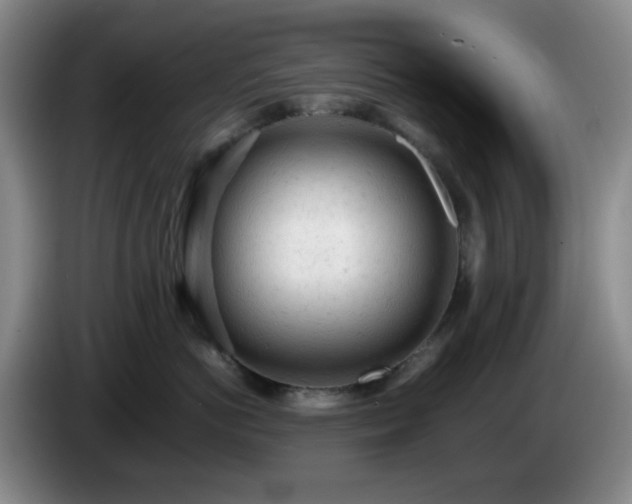 X0000085010766200703121521