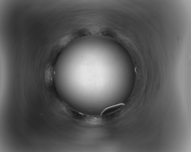 X0000085010768200703121521