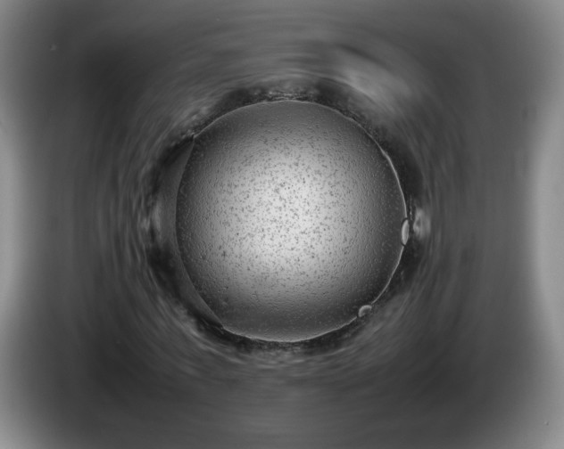 X0000085010771200703121521