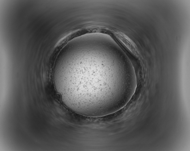 X0000085010775200703121521