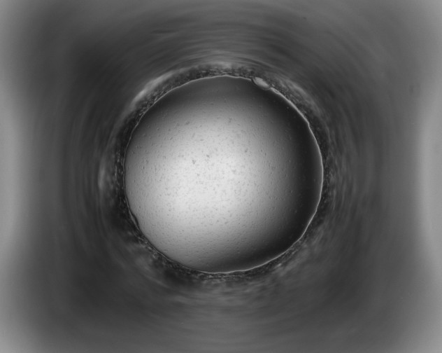 X0000085010776200703121521