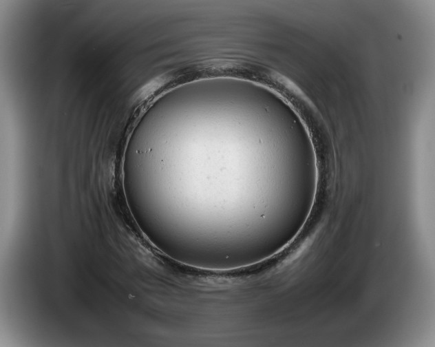 X0000085010777200703121521