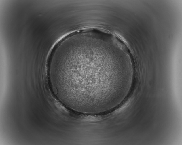 X0000085010779200703121521
