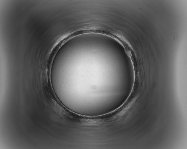 X0000085010781200703121521