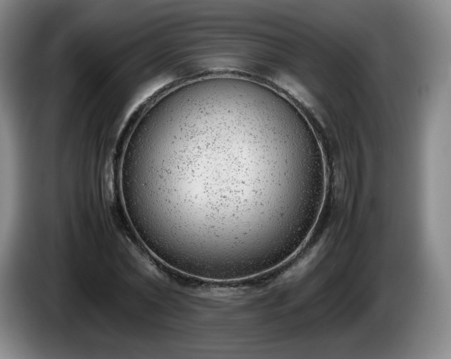 X0000085010782200703121521