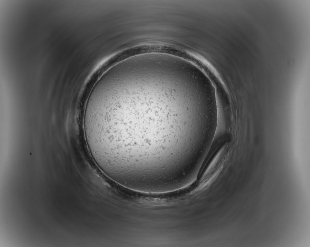 X0000085010783200703121521