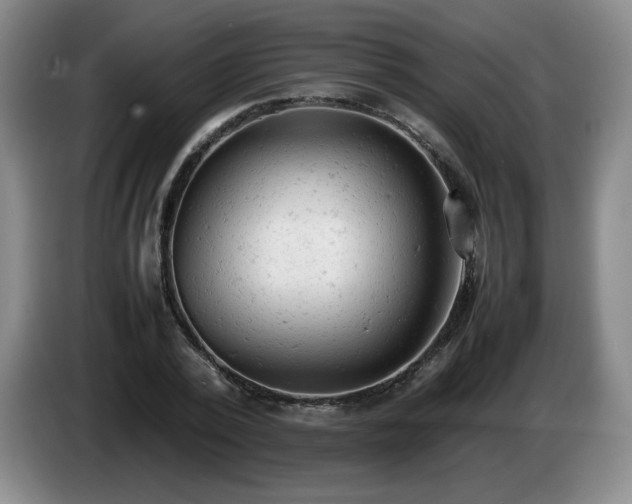 X0000085010784200703121520