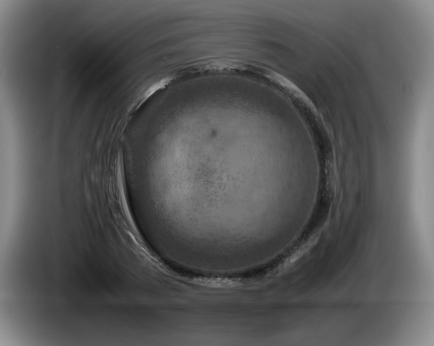 X0000085010785200703121520