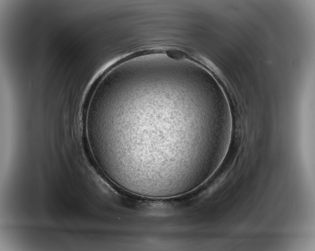 X0000085010787200703121520