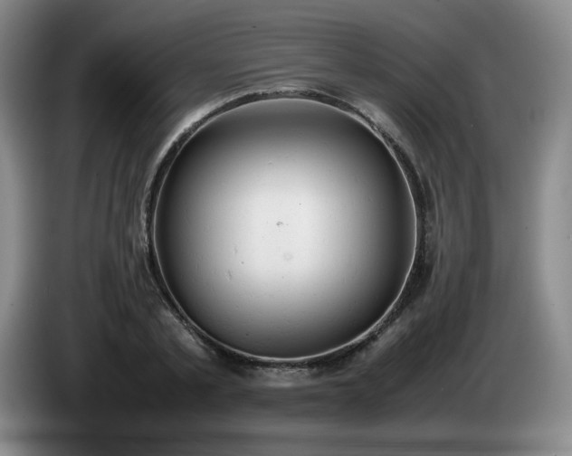 X0000085010789200703121520