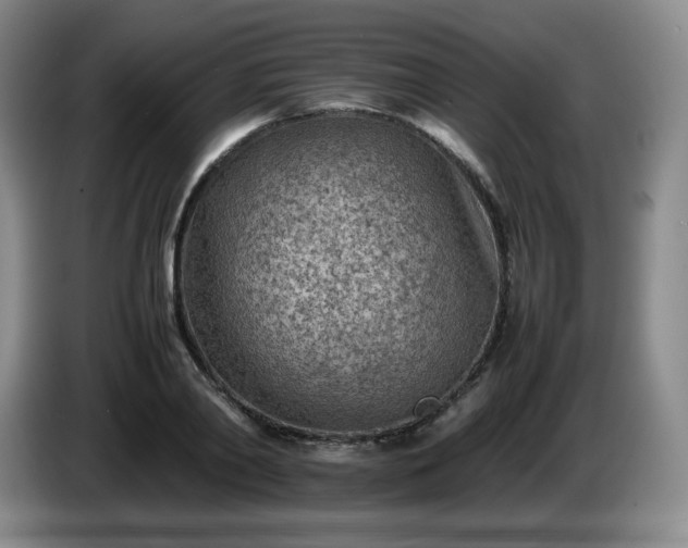X0000085010790200703121520