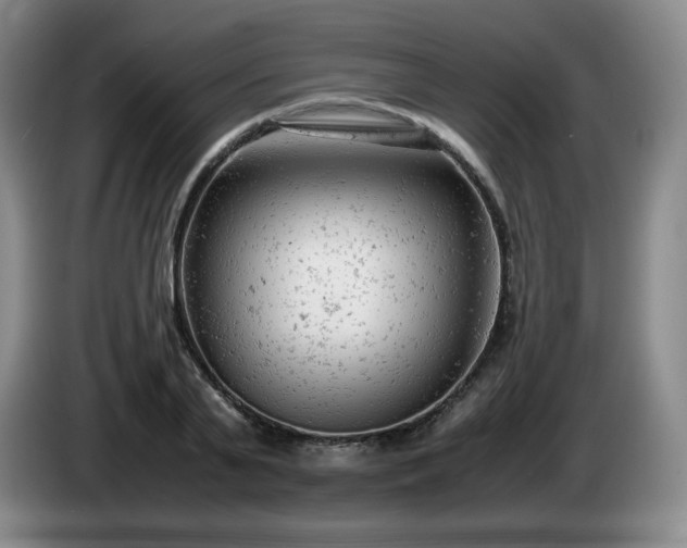 X0000085010791200703121520