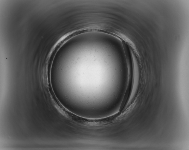 X0000085010792200703121520