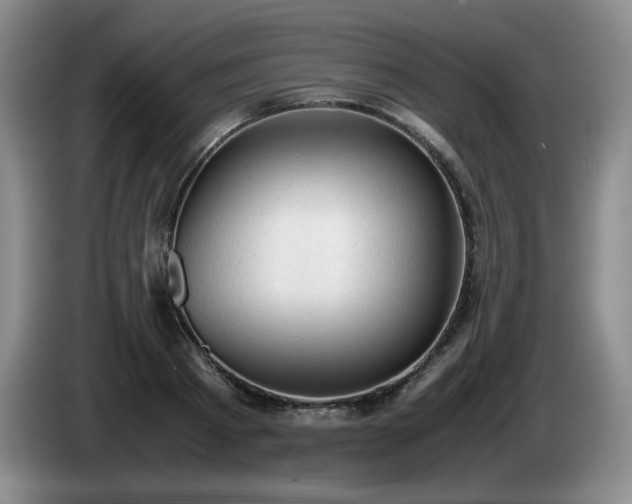 X0000085010793200703121520