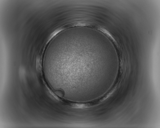 X0000085010794200703121520