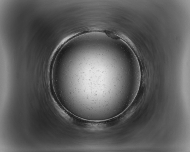 X0000085010795200703121520