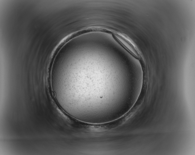 X0000085010799200703121520