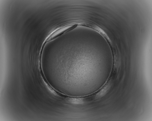 X0000085010802200703121520