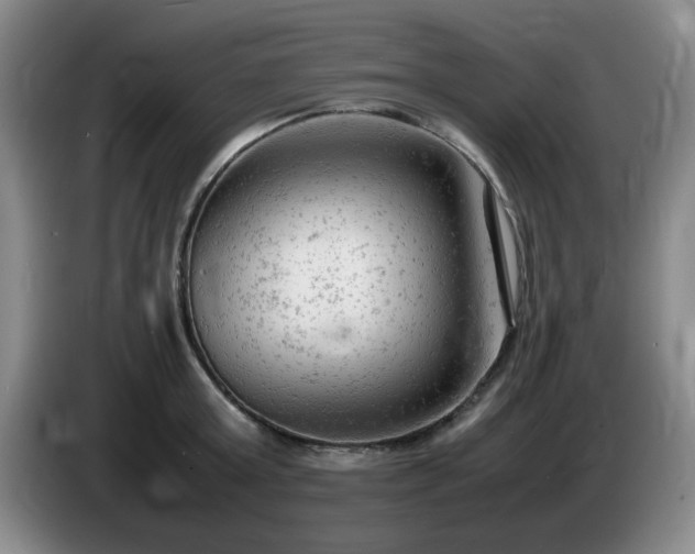 X0000085010803200703121520