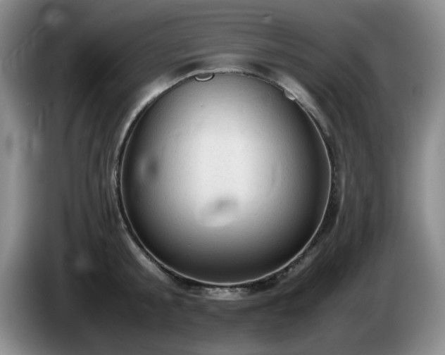 X0000085010805200703121520