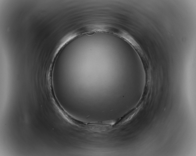 X0000085010806200703121520