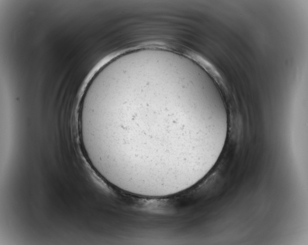 X0000085010808200703121520