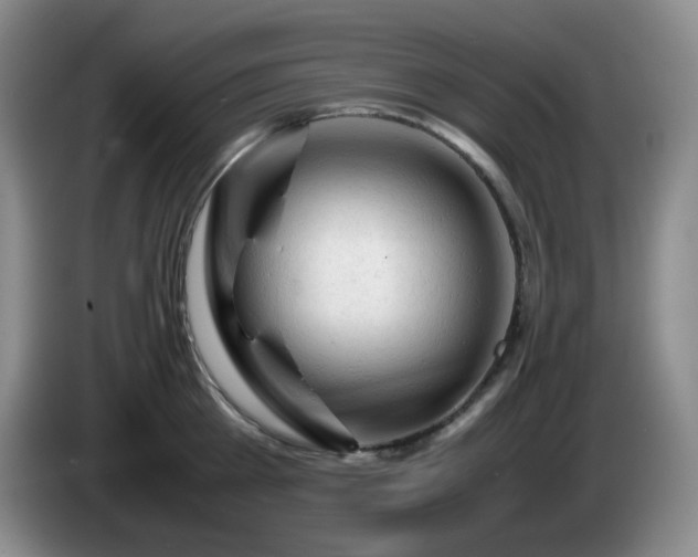 X0000085010809200703121520