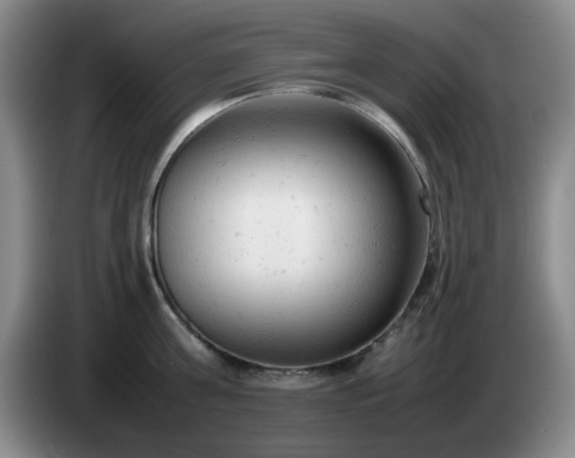 X0000085010811200703121520