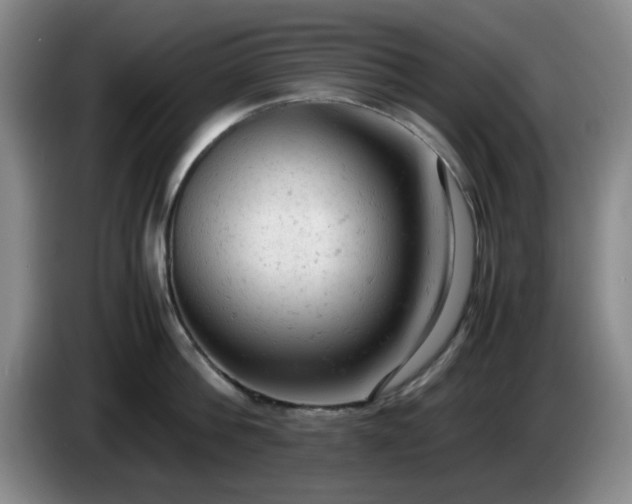 X0000085010812200703121520