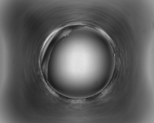 X0000085010813200703121520