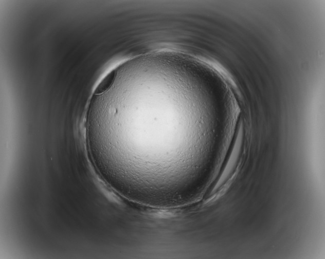 X0000085010814200703121520