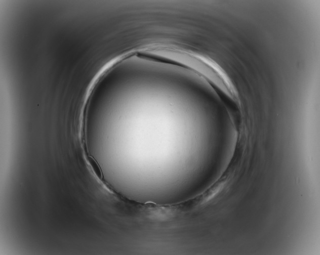 X0000085010815200703121520