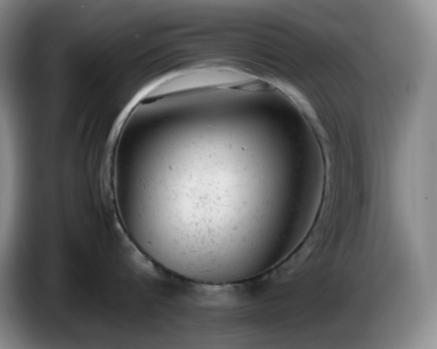 X0000085010816200703121520