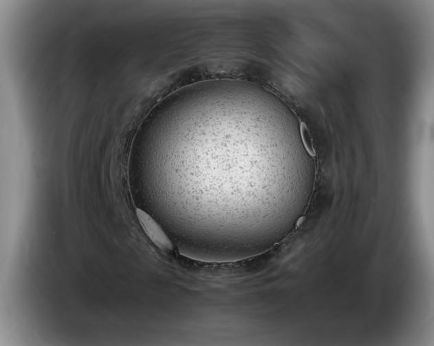 X0000085010817200703121519
