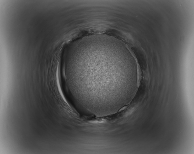 X0000085010818200703121519