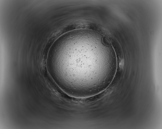 X0000085010819200703121519