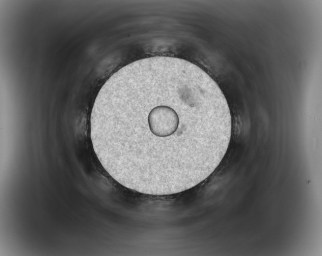 X0000085010820200703121519