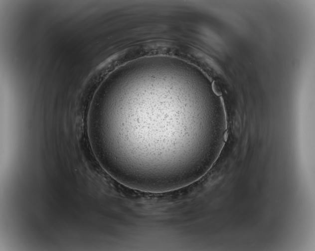 X0000085010821200703121519
